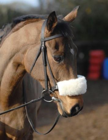 Supafleece Fourreau de Muserolle - SHOPHORSE